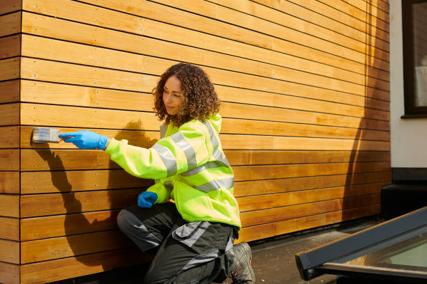 Best Siding Painting and Refinishing  in Franklin, NH