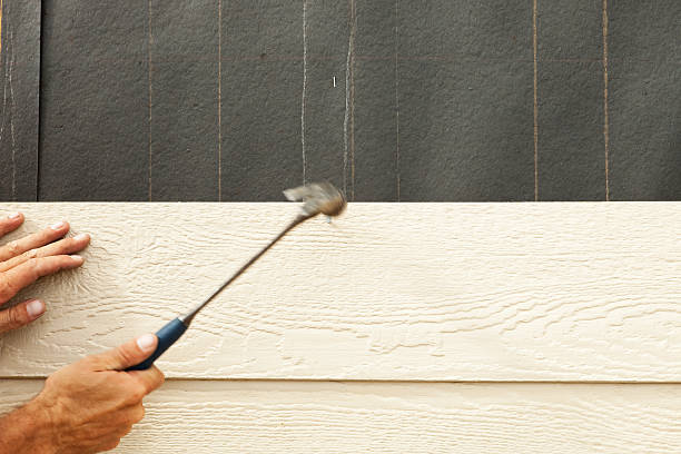 Best Custom Siding Design  in Franklin, NH